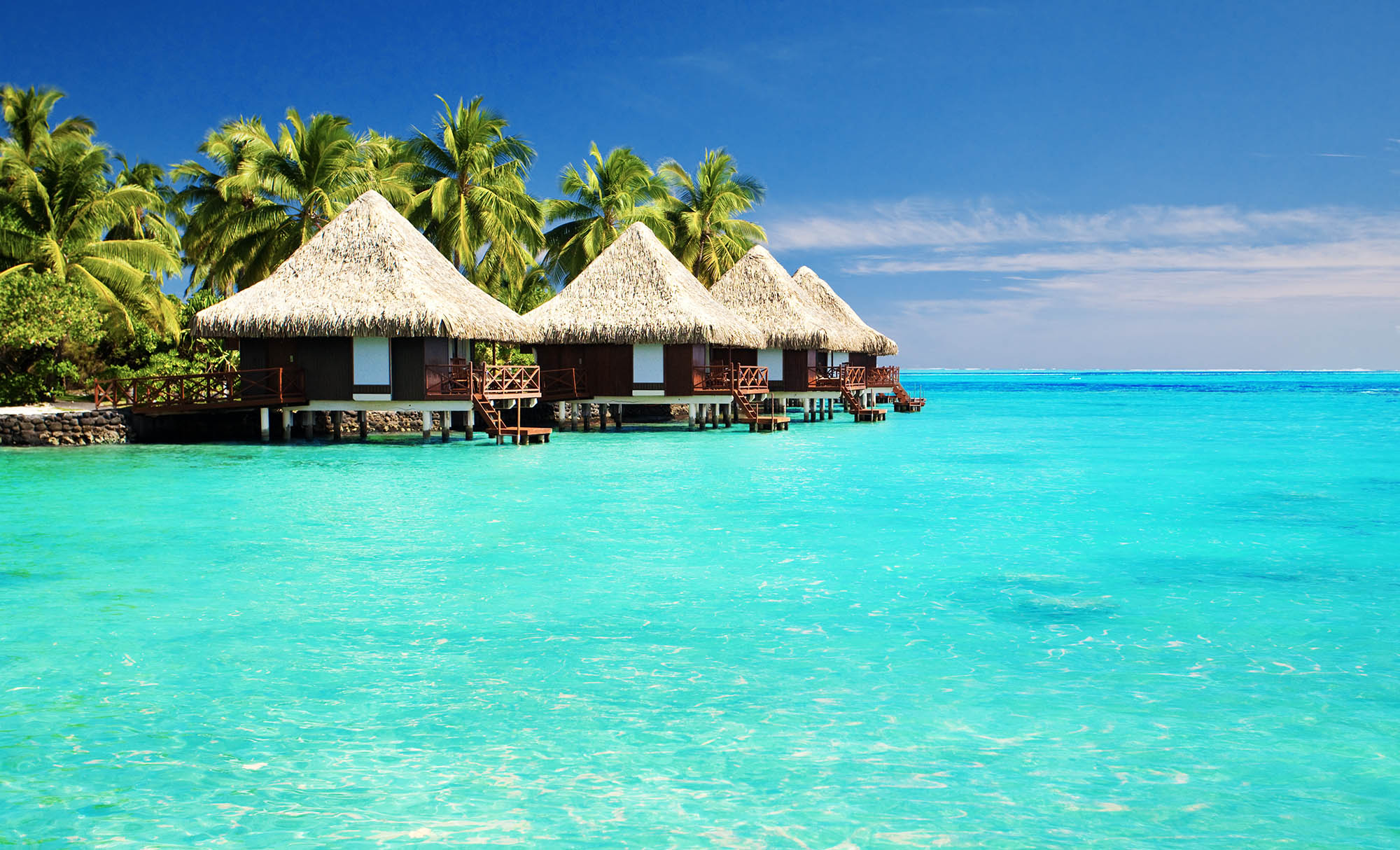 tropical overwater bungalows